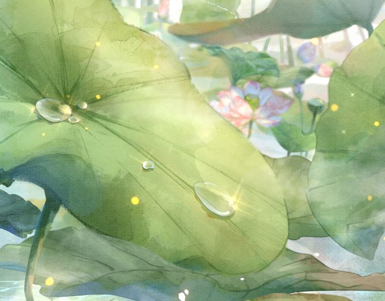 第42话 一起玩竹蜻蜓81