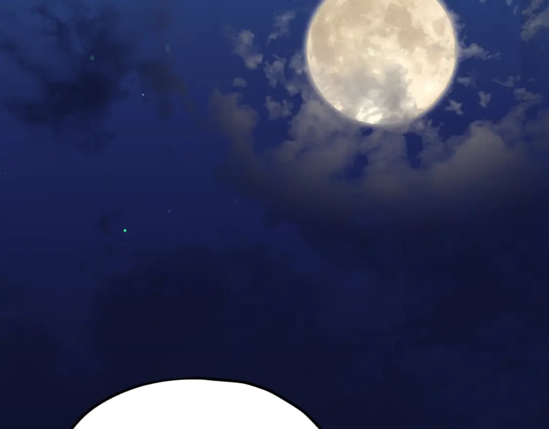 第137话 摄影大赛258