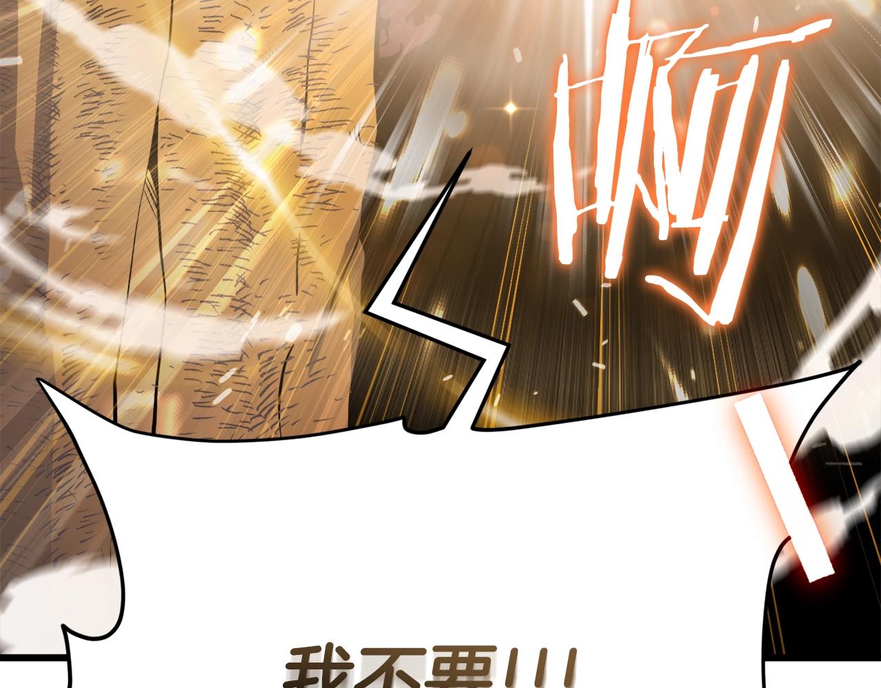 第101话 星星的愿望12