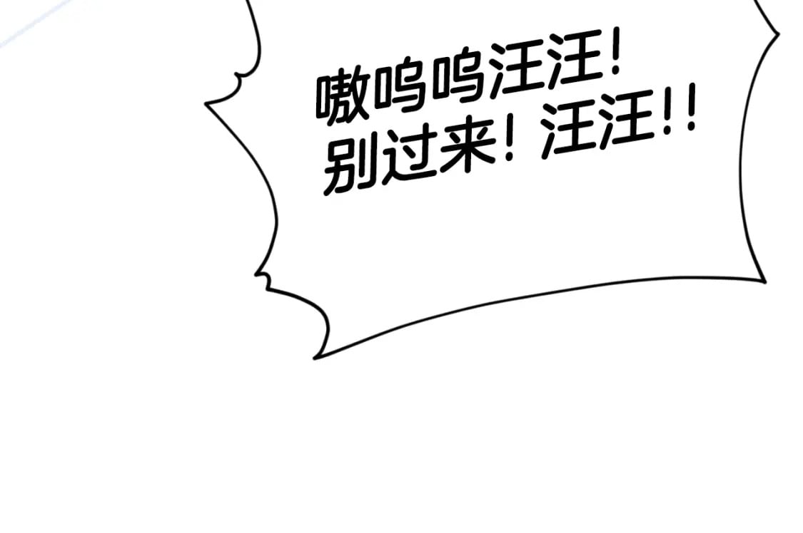 第137话 摄影大赛210