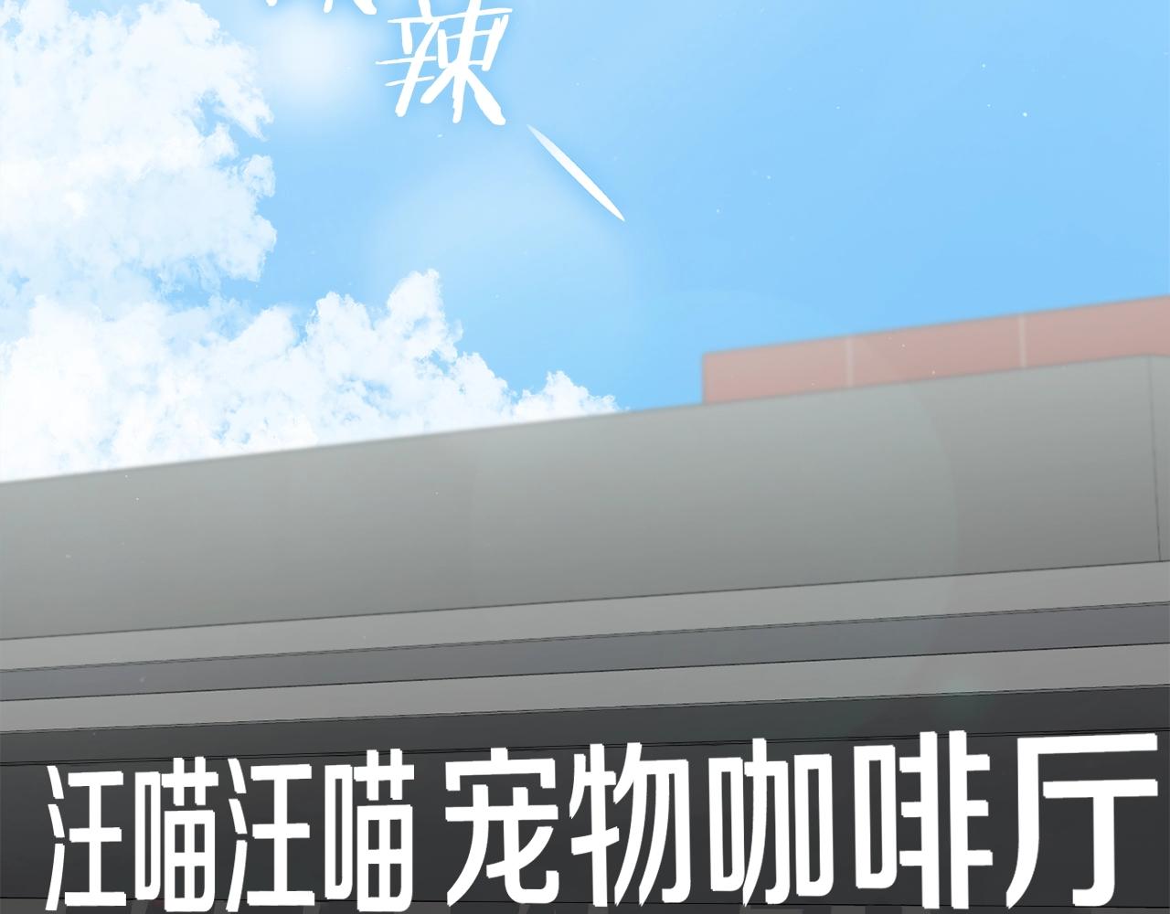第88话 棒棒糖赌局1
