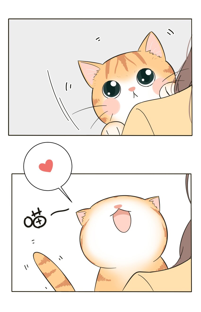 005 预谋10