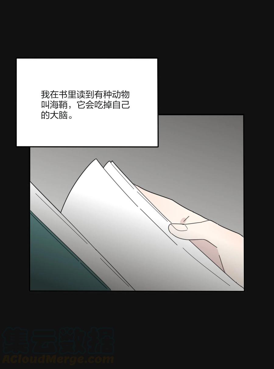 084 海鞘39
