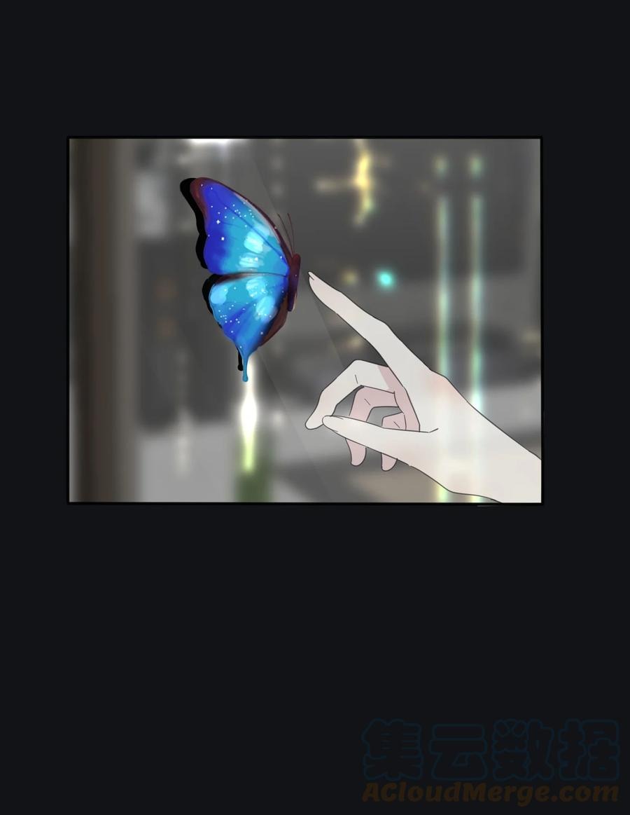 116 蝶15
