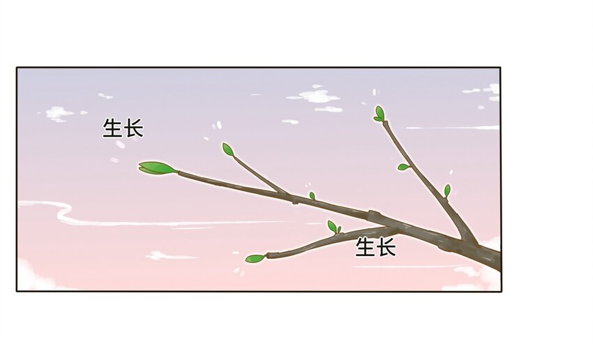 002 仙女也是要吃饭的48