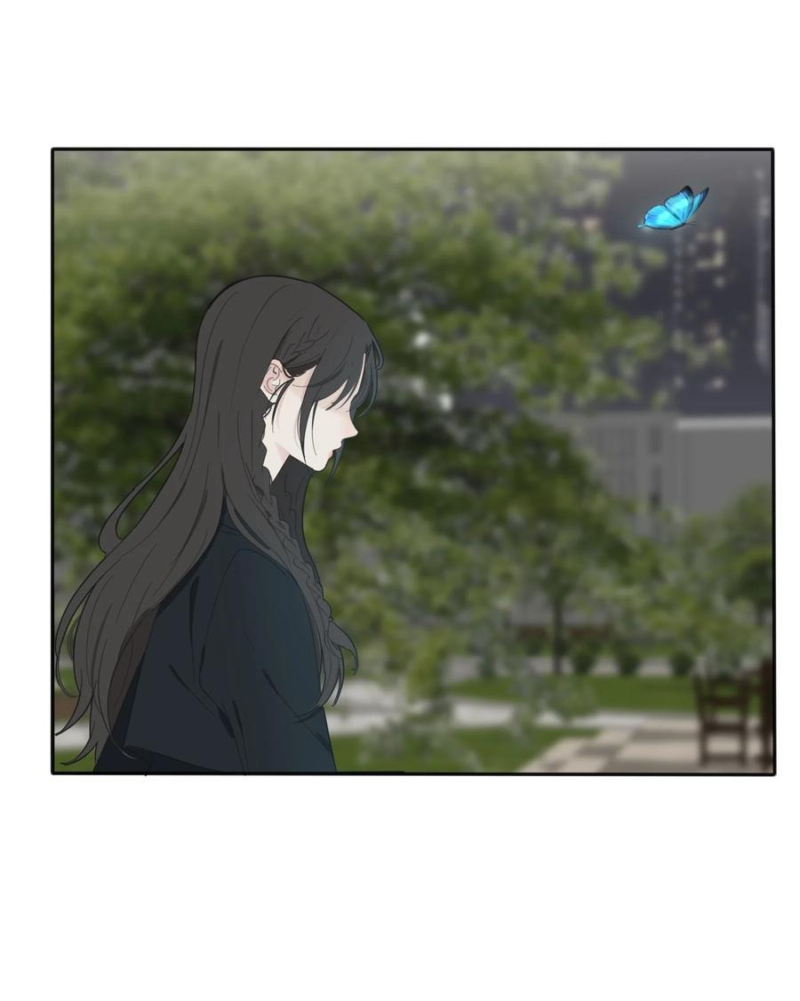 116 蝶41