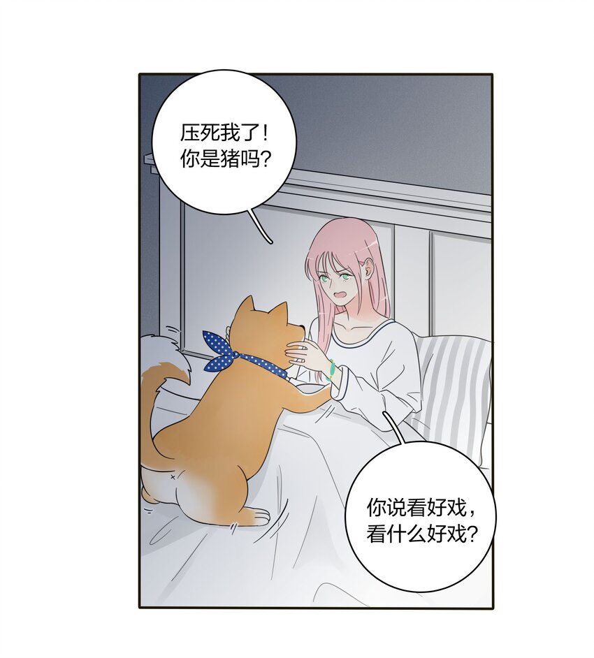007 艺高妖胆大15