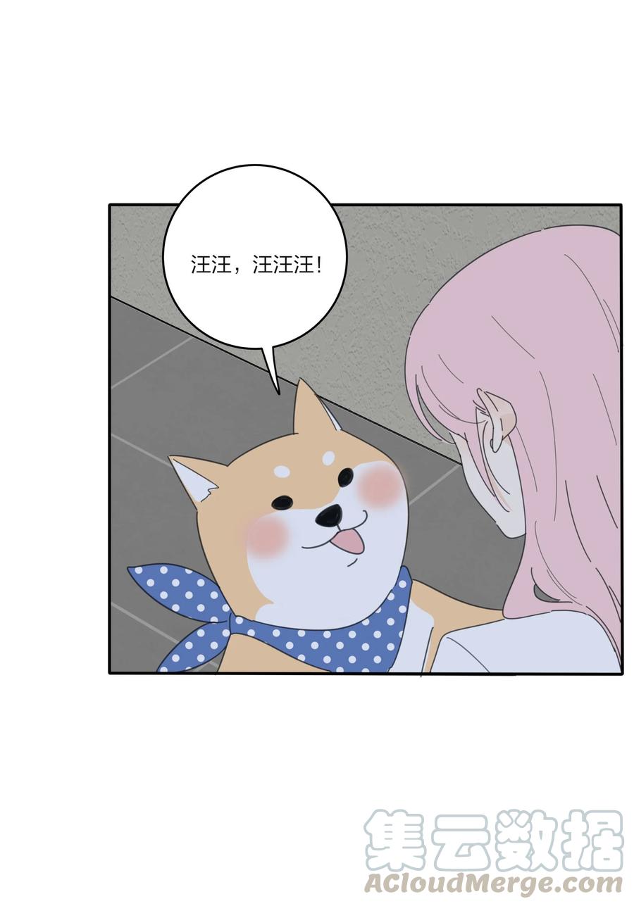 081 爱的博弈27
