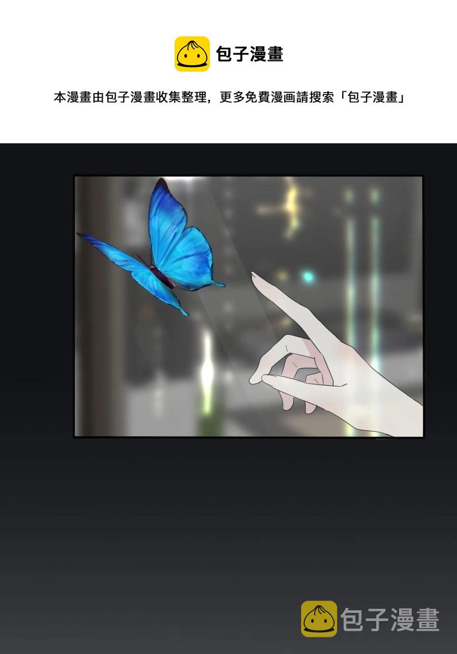 116 蝶16