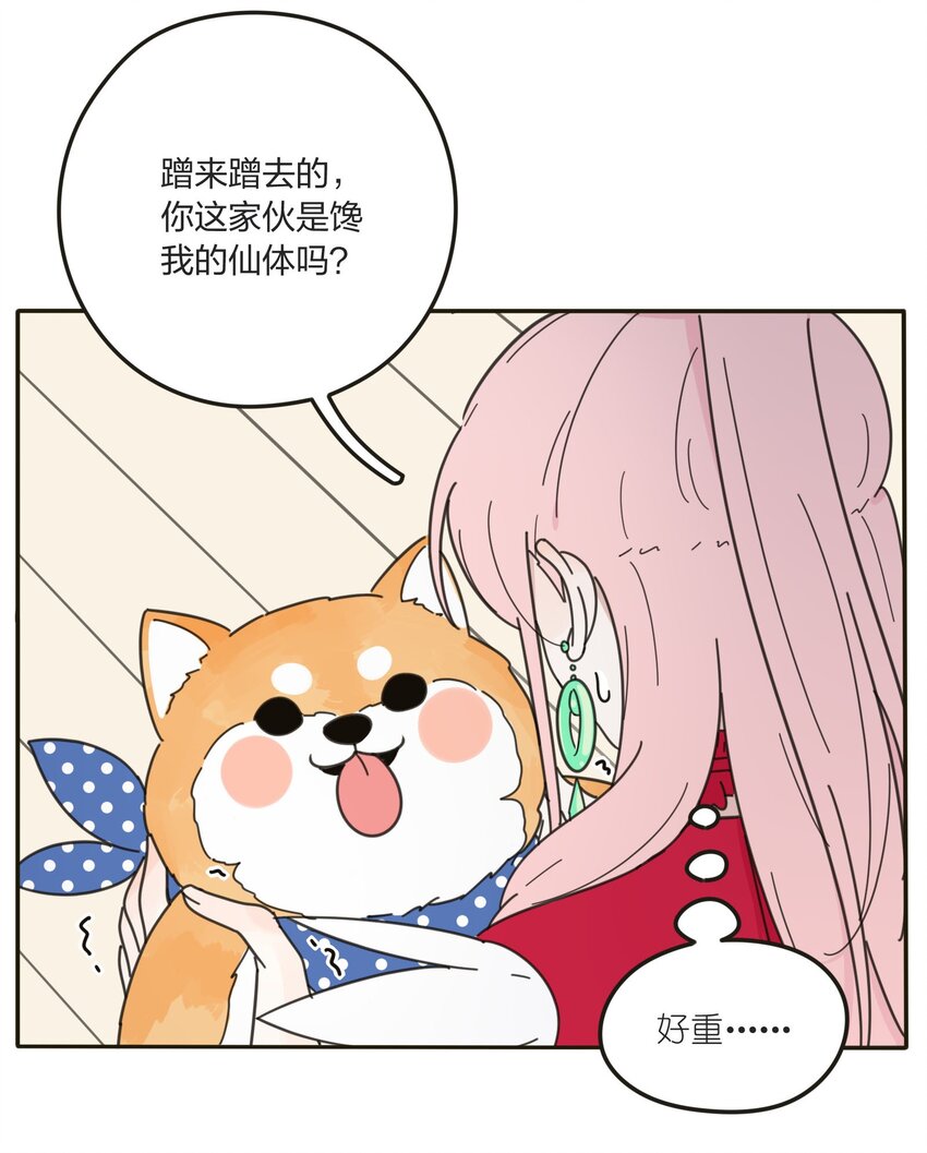 005 预谋12