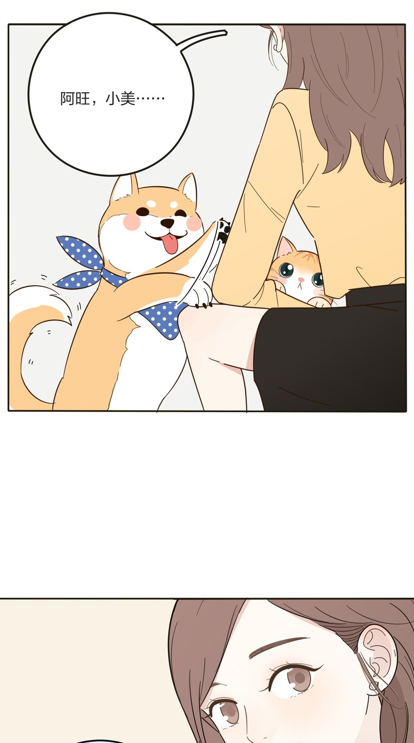 005 预谋5