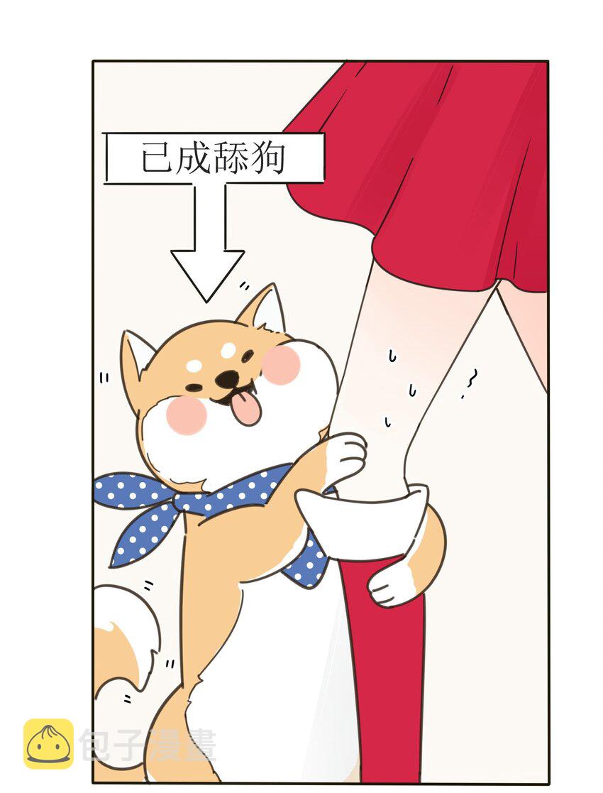 005 预谋11