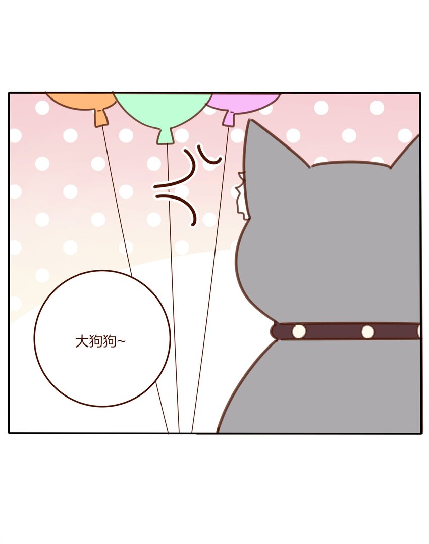 番外06 百里熊和奇奇狗5