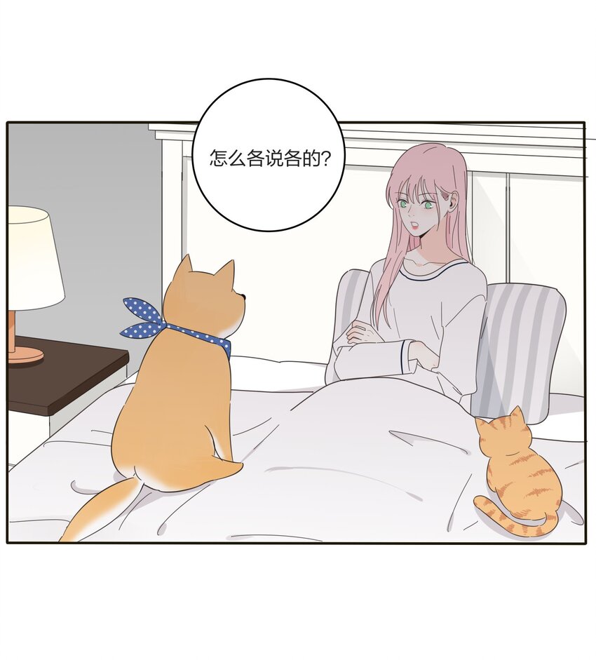 013 未曾发生的拥抱7