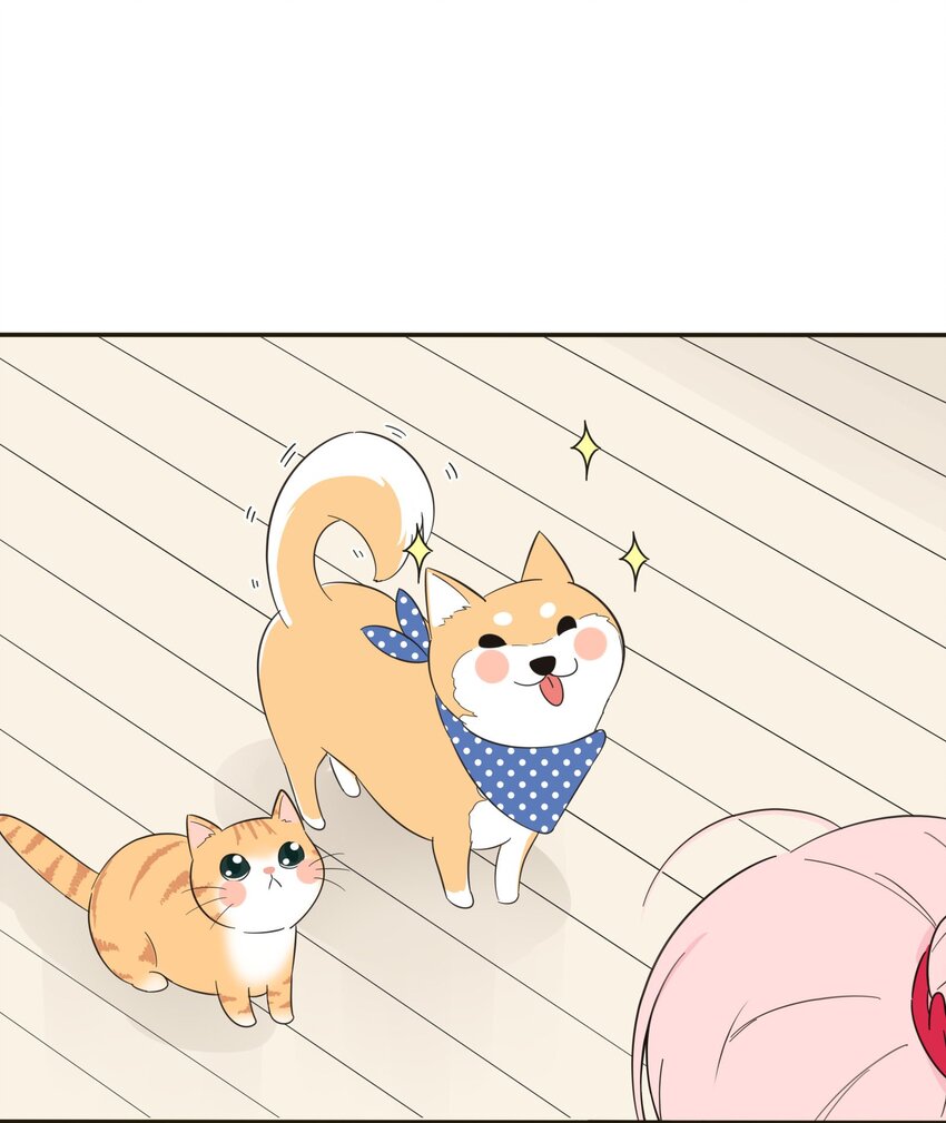 005 预谋7