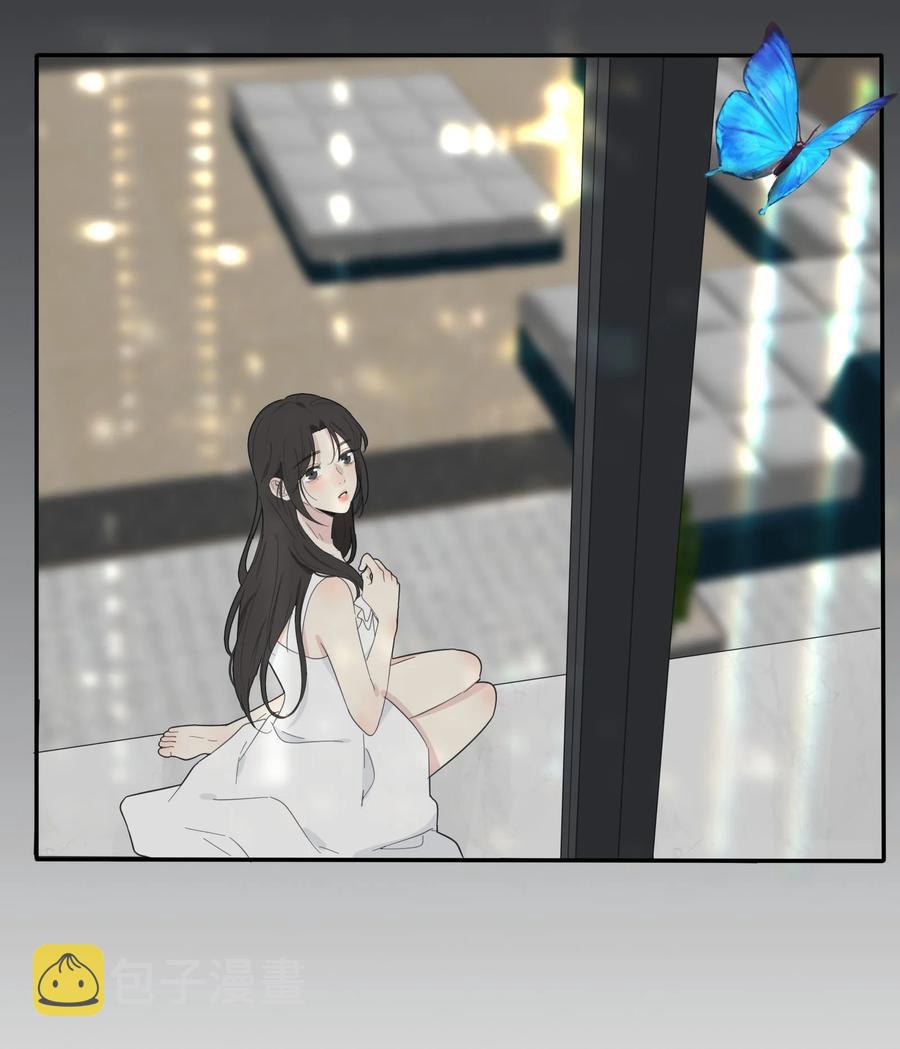 116 蝶17