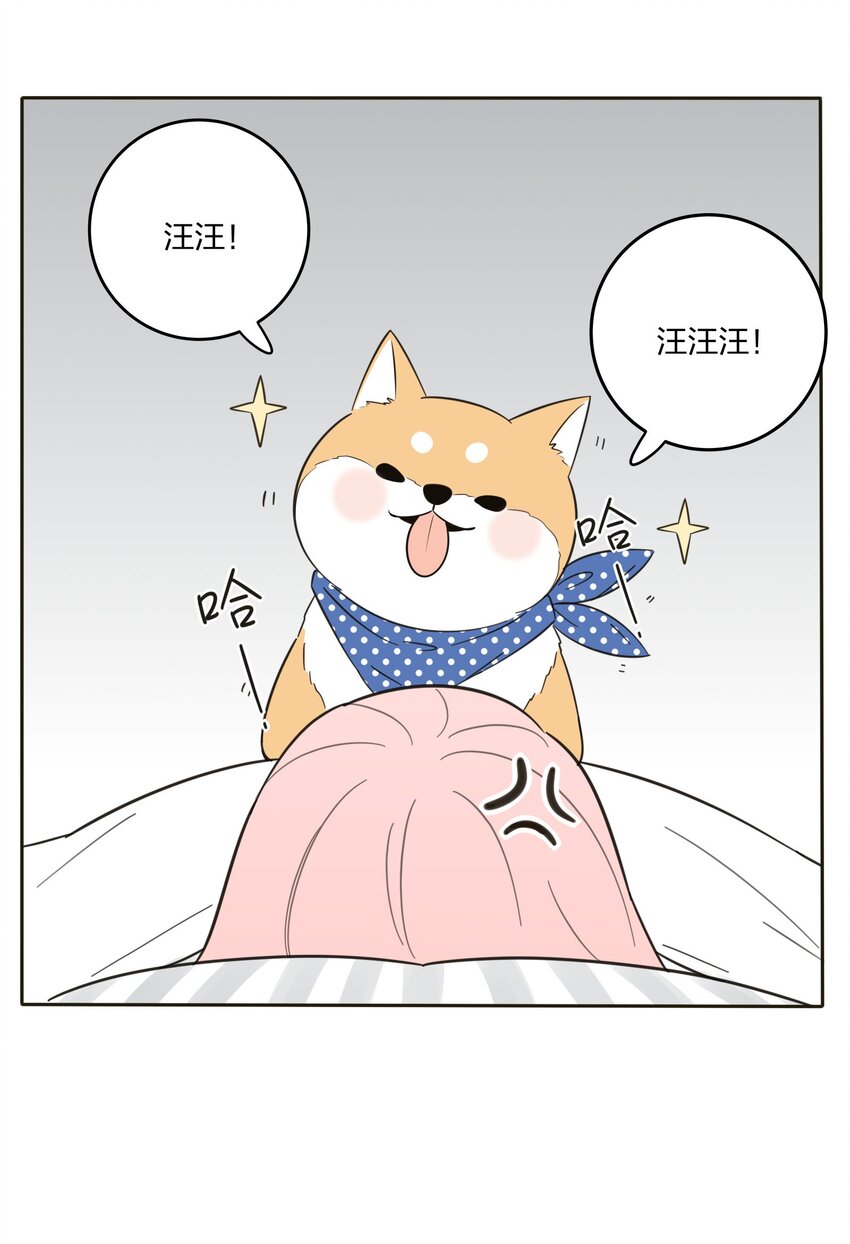 007 艺高妖胆大14