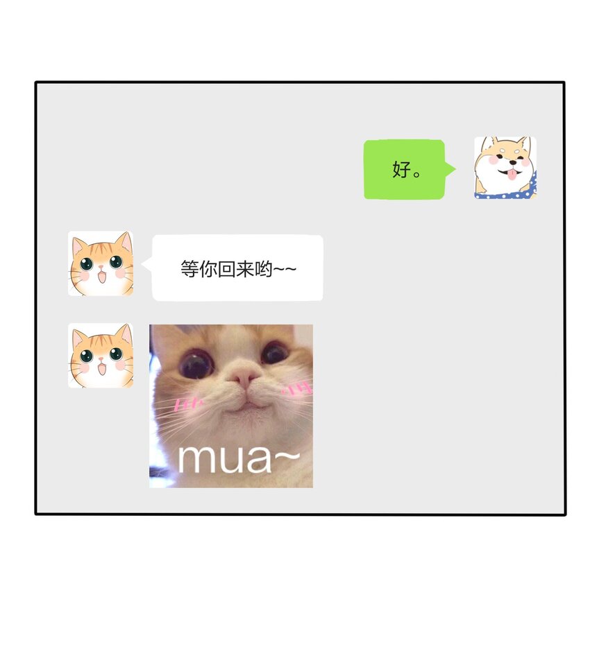 041 期待6