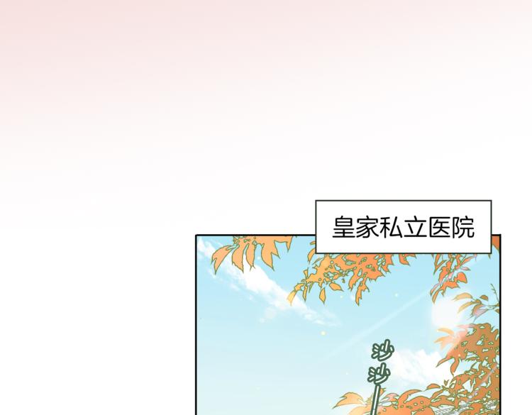 第33话 心意34