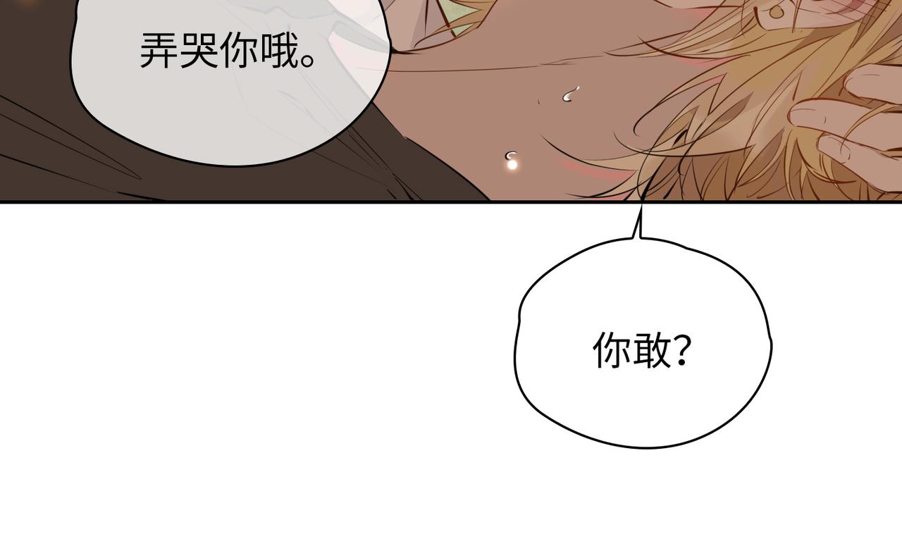 第73话 真正的家人72