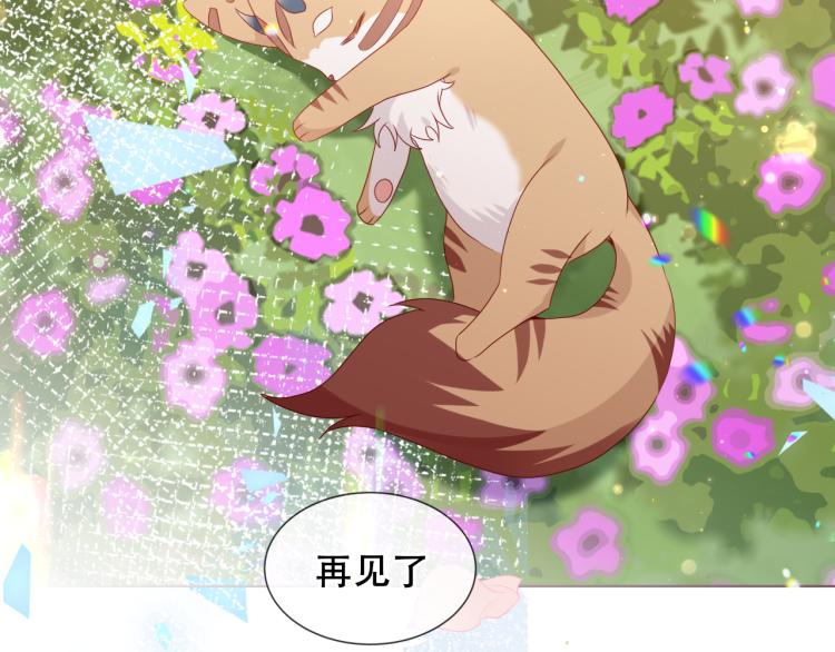 番外 无夜城的一只猫63