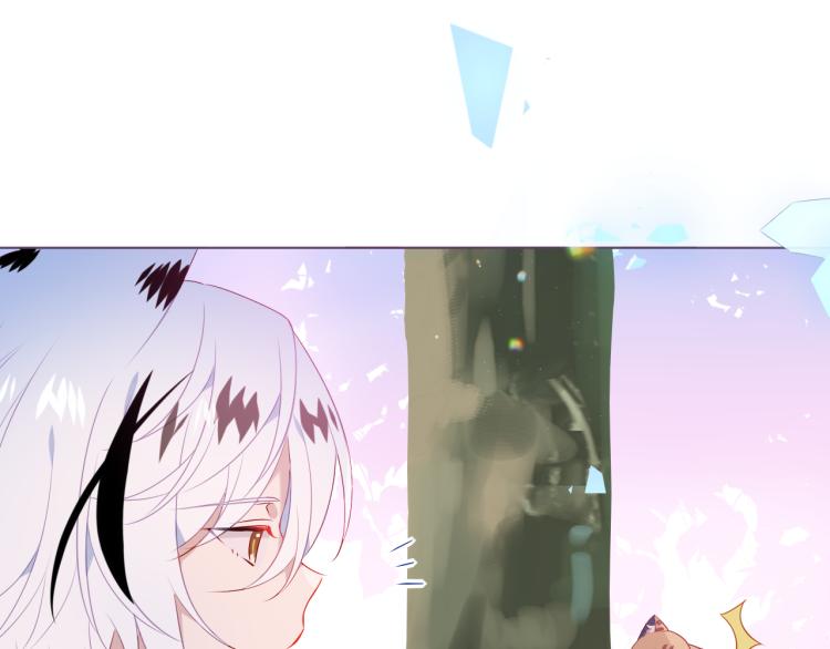 番外 无夜城的一只猫30