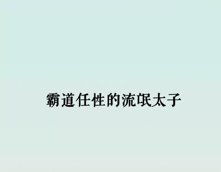 序章 凤御四方，吾凰在上30