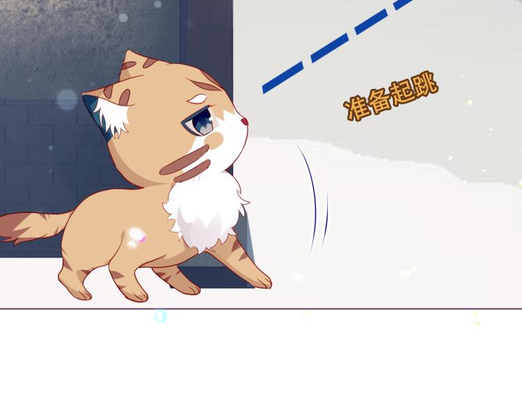 番外 无夜城的一只猫11