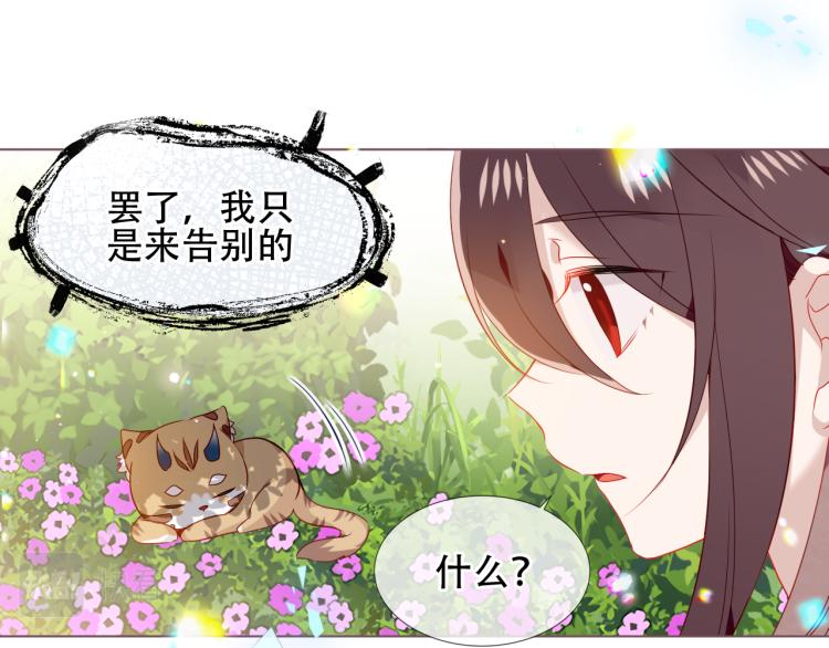 番外 无夜城的一只猫48