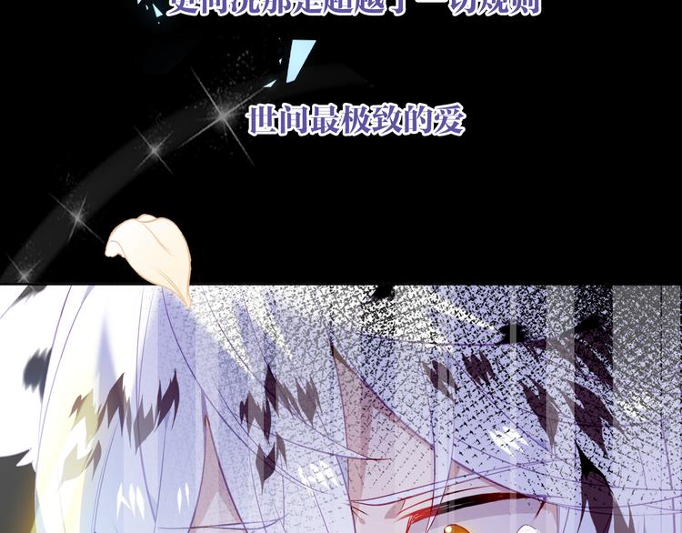 第164话 白与希58
