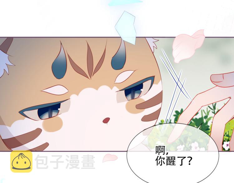 番外 无夜城的一只猫39
