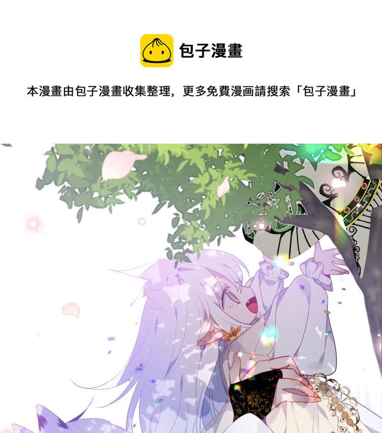 番外 无夜城的一只猫13