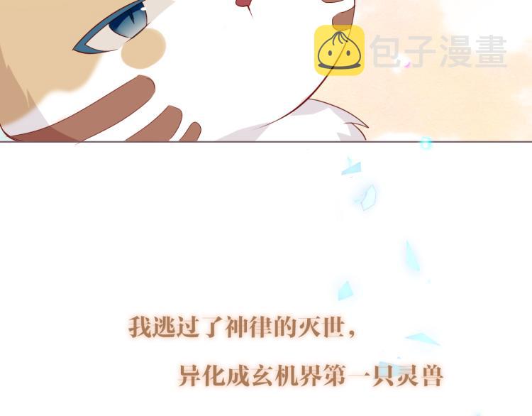 番外 无夜城的一只猫46