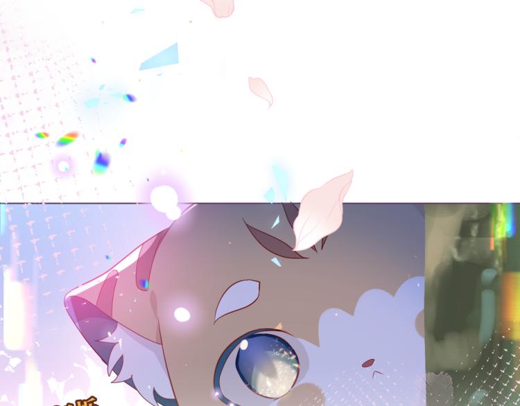 番外 无夜城的一只猫33
