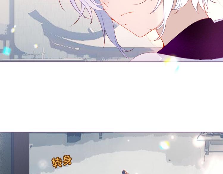 番外 无夜城的一只猫21