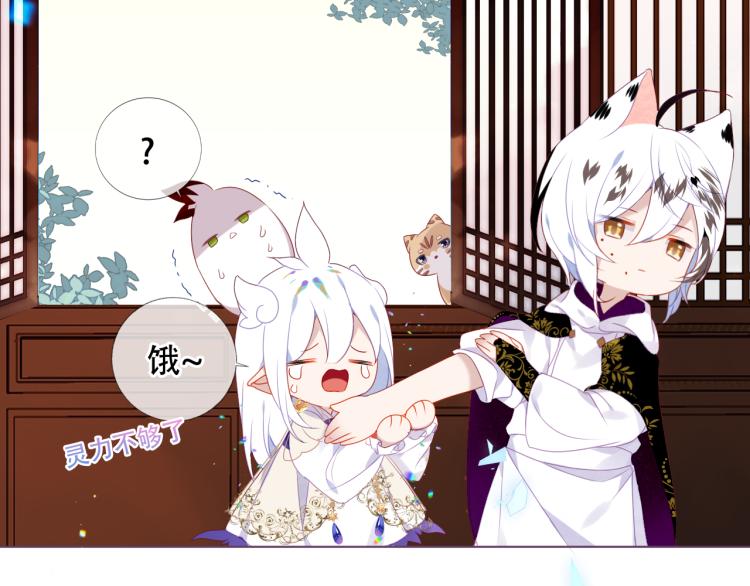 番外 无夜城的一只猫26