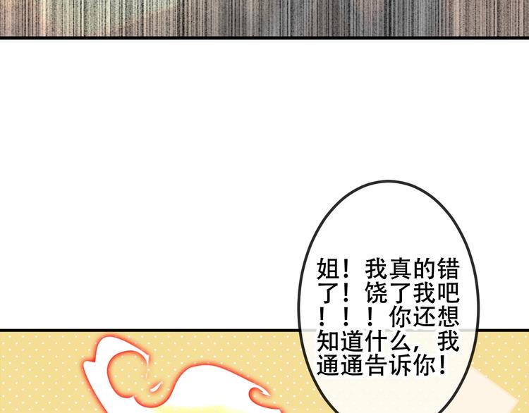次元旋风系列第三弹11