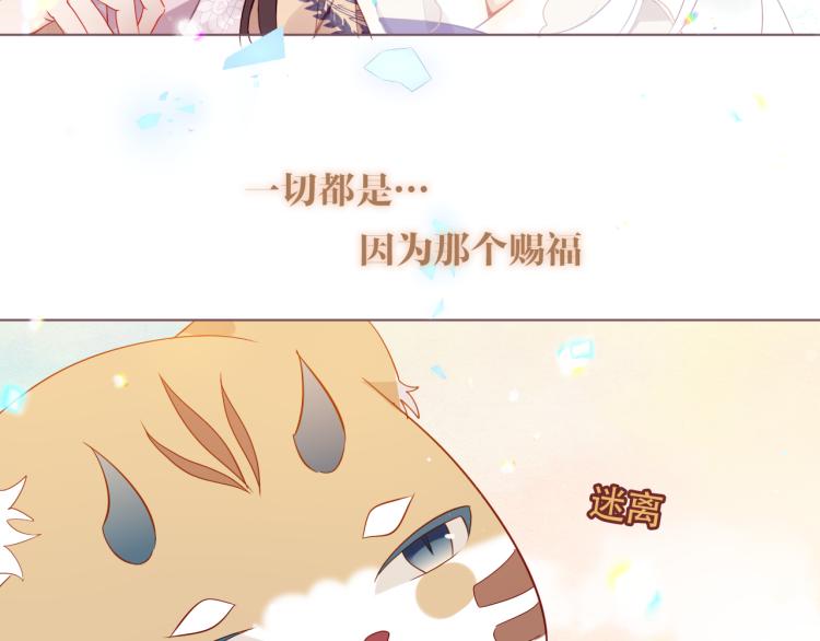 番外 无夜城的一只猫45