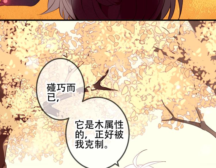 第31话 凰炎国的流行7