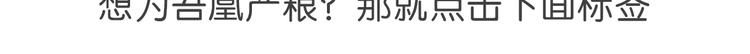 第130话 你就是我的希望187