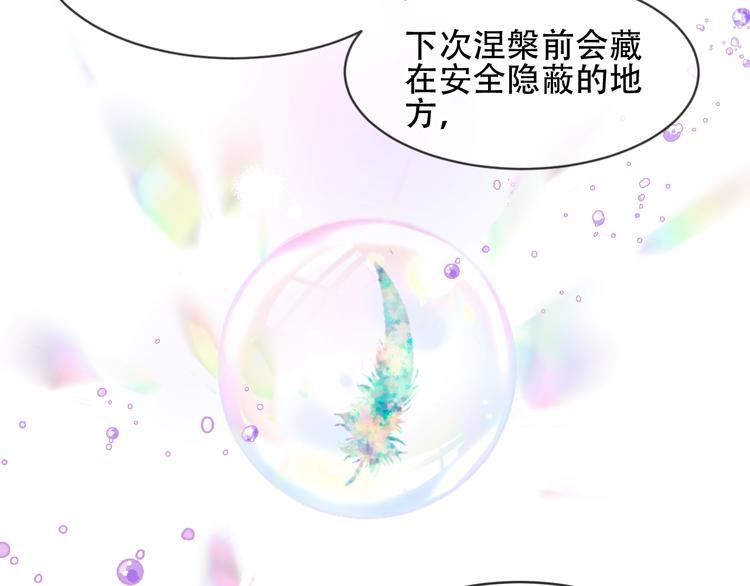 第107话 爱你的心情11
