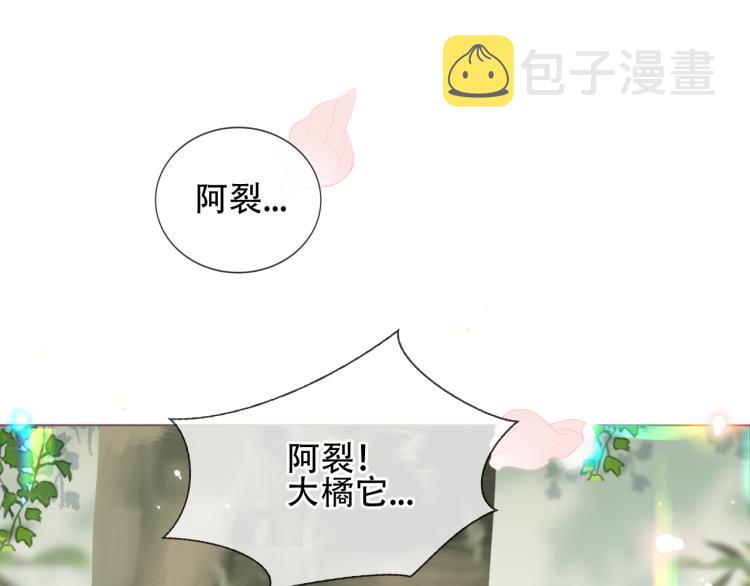 番外 无夜城的一只猫59
