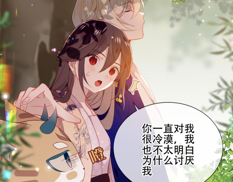 番外 无夜城的一只猫42