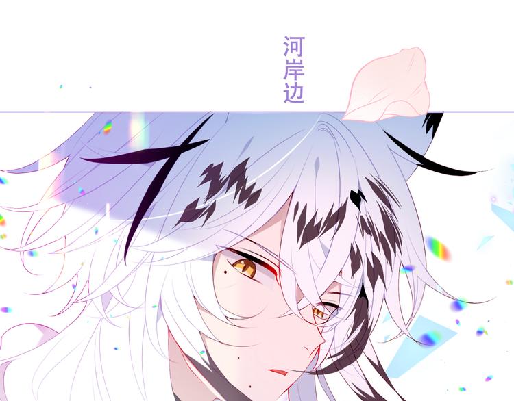 第164话 白与希2