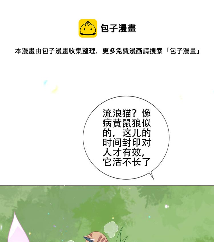番外 无夜城的一只猫0