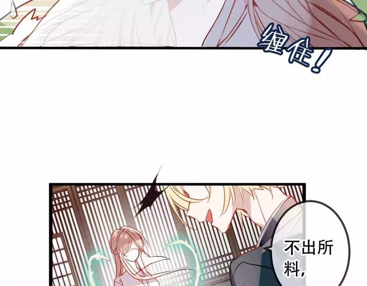 第6话 命运的相遇61