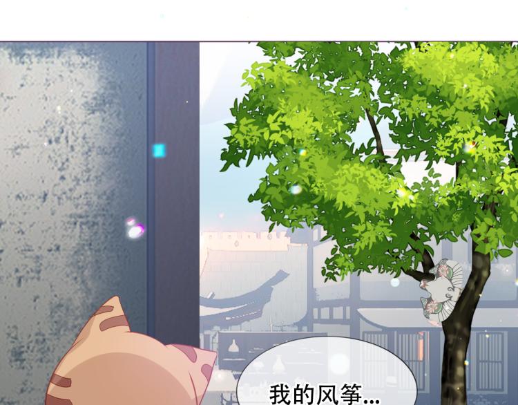 番外 无夜城的一只猫8
