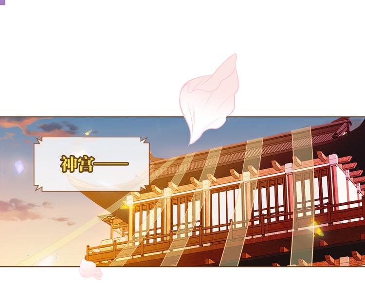 第166话 婚礼前夕17