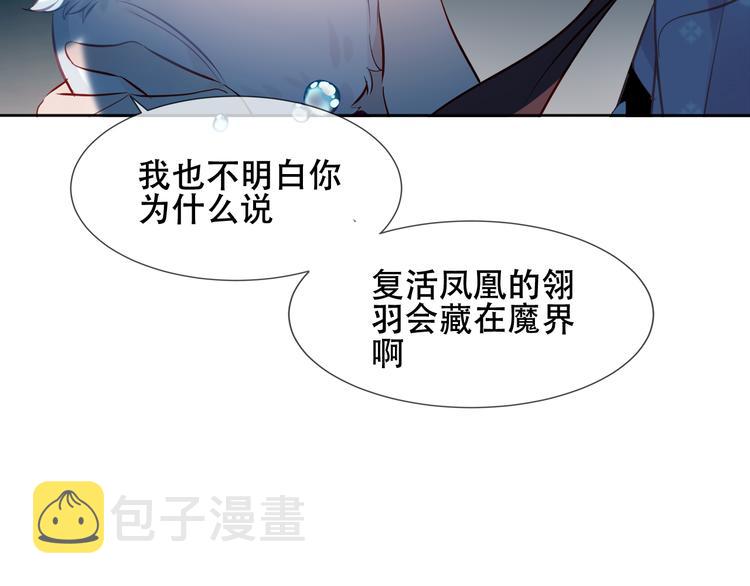 第122话 凤凰和神明们的故事27