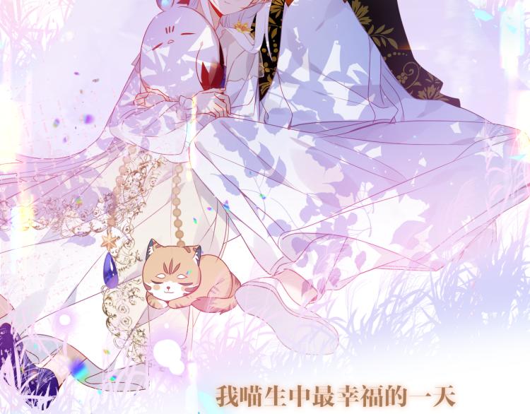 番外 无夜城的一只猫36